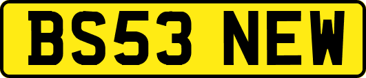 BS53NEW