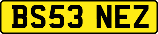 BS53NEZ