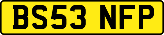 BS53NFP