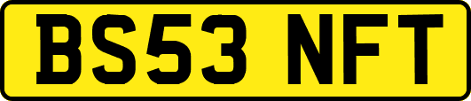 BS53NFT