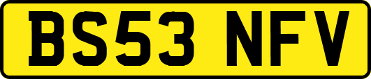 BS53NFV