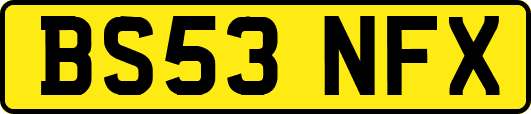 BS53NFX