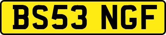 BS53NGF