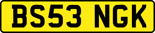 BS53NGK