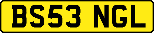 BS53NGL