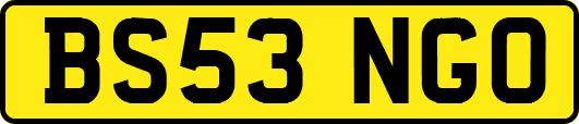 BS53NGO