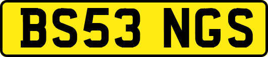 BS53NGS