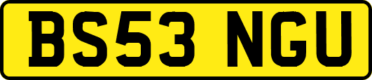 BS53NGU