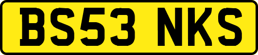 BS53NKS