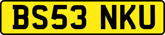 BS53NKU