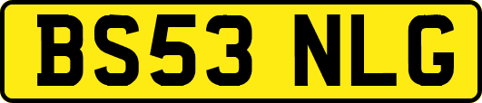 BS53NLG