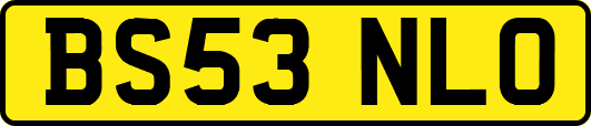 BS53NLO