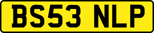 BS53NLP