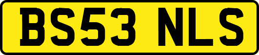 BS53NLS