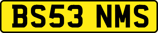BS53NMS