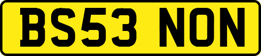 BS53NON