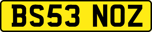 BS53NOZ