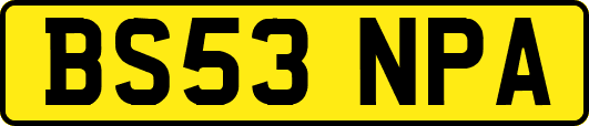 BS53NPA