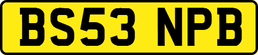 BS53NPB