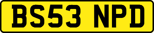 BS53NPD