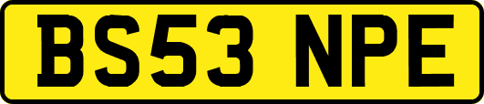 BS53NPE