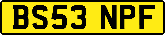 BS53NPF