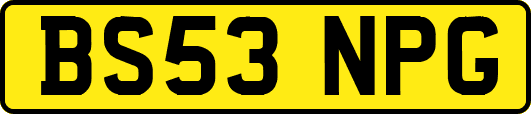 BS53NPG