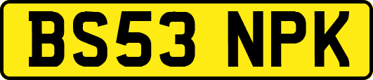 BS53NPK