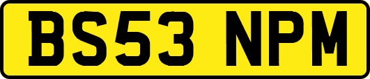 BS53NPM