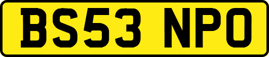 BS53NPO