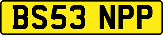 BS53NPP