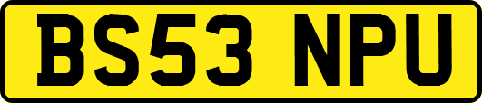 BS53NPU
