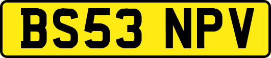 BS53NPV