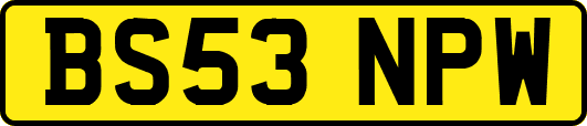 BS53NPW