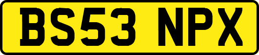 BS53NPX