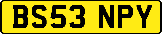 BS53NPY
