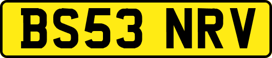 BS53NRV