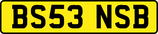 BS53NSB