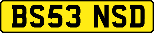BS53NSD