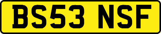 BS53NSF