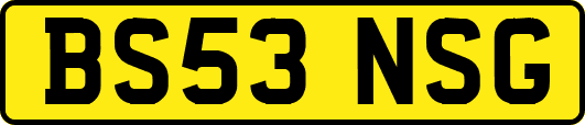BS53NSG