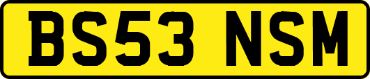 BS53NSM