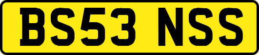 BS53NSS