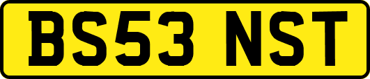 BS53NST