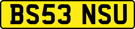 BS53NSU