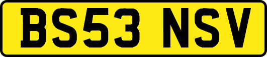 BS53NSV