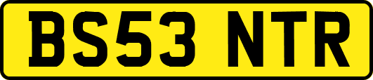 BS53NTR