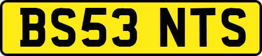 BS53NTS