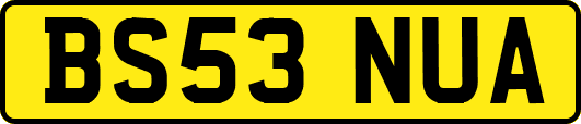 BS53NUA
