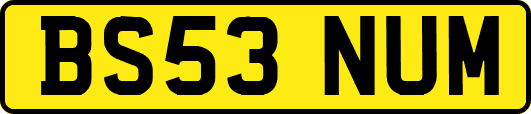 BS53NUM